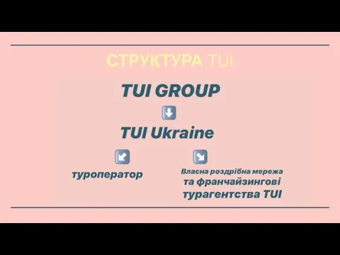 СТРУКТУРА TUI