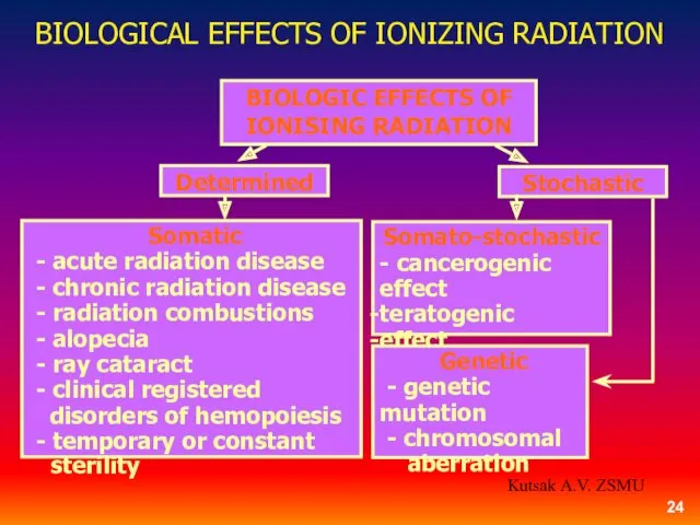 BIOLOGIC EFFECTS OF IONISING RADIATION Determined Stochastic Somatic - acute