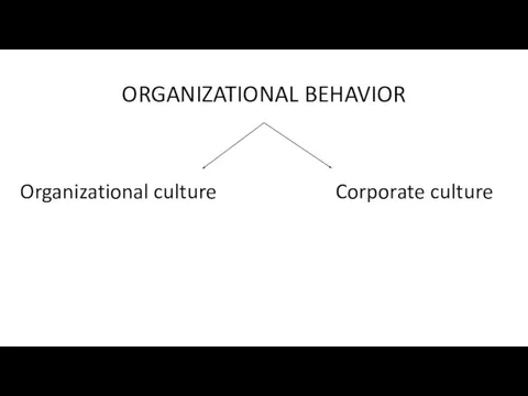 ORGANIZATIONAL BEHAVIOR Corporate culture Organizational culture