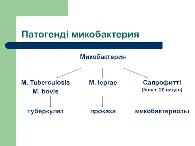 Патогенді микобактерия