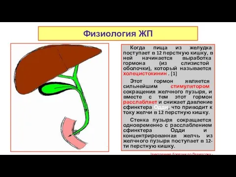 Когда пища из желудка поступает в 12 перстную кишку, в