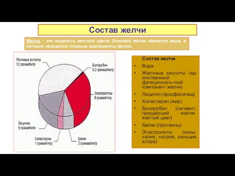 Состав желчи Вода Желчные кислоты (ед-инственный функциональ-ный компонент желчи) Лецитин