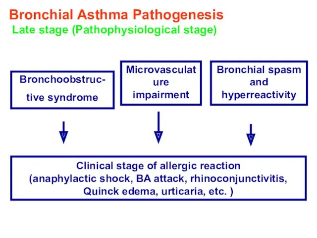 Bronchial Asthma Pathogenesis Late stage (Pathophysiological stage) Bronchoobstruc- tive syndrome