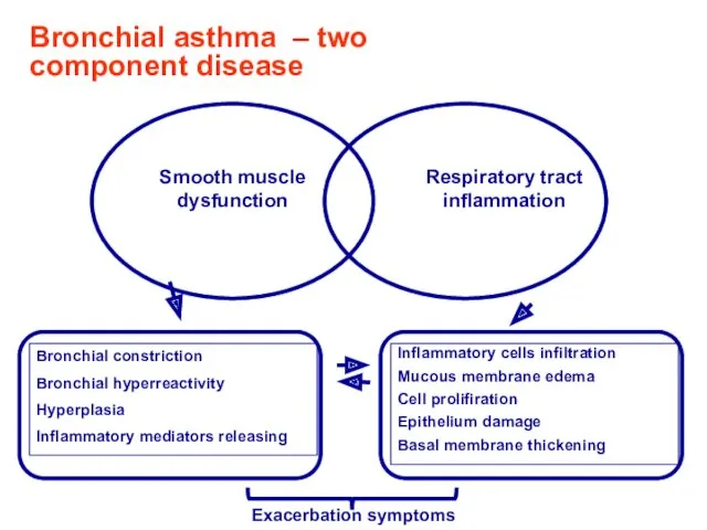 Bronchial asthma – two component disease Exacerbation symptoms