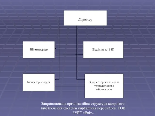 Запропонована організаційна структура кадрового забезпечення системи управління персоналом ТОВ ЗУБГ «Еліт»