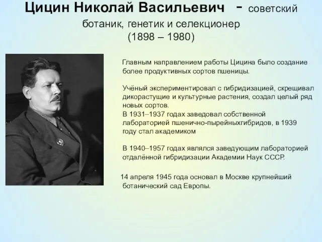 Цицин Николай Васильевич - советский ботаник, генетик и селекционер (1898