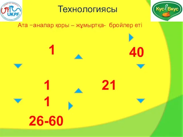 Технологиясы Ата −аналар қоры – жұмыртқа- бройлер еті 11 26-60 1 21 40