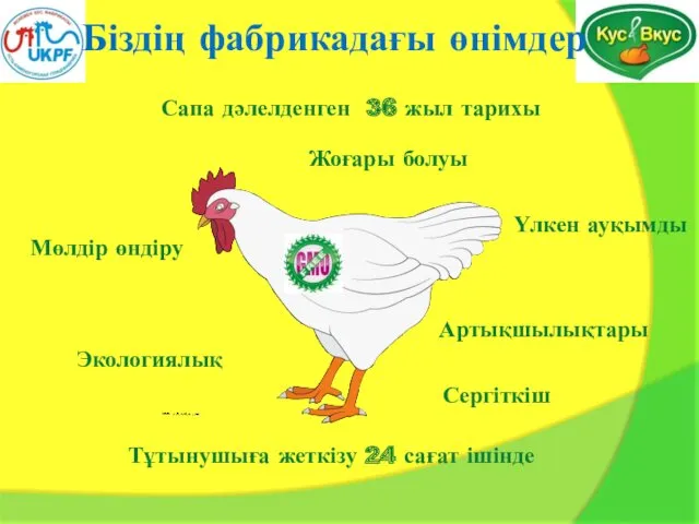 Біздің фабрикадағы өнімдер Тұтынушыға жеткізу 24 сағат ішінде Экологиялық Сергіткіш