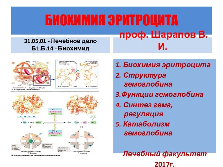 Особенности биохимии эритроцитов. Биохимия эритроцитов. Биохимия темы. Особенности строения и метаболизма эритроцитов биохимия. Распад эритроцитов биохимия.