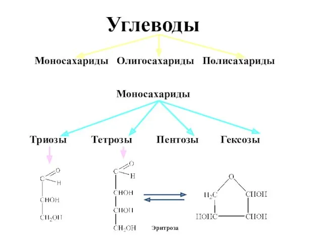 Углеводы виды моносахариды