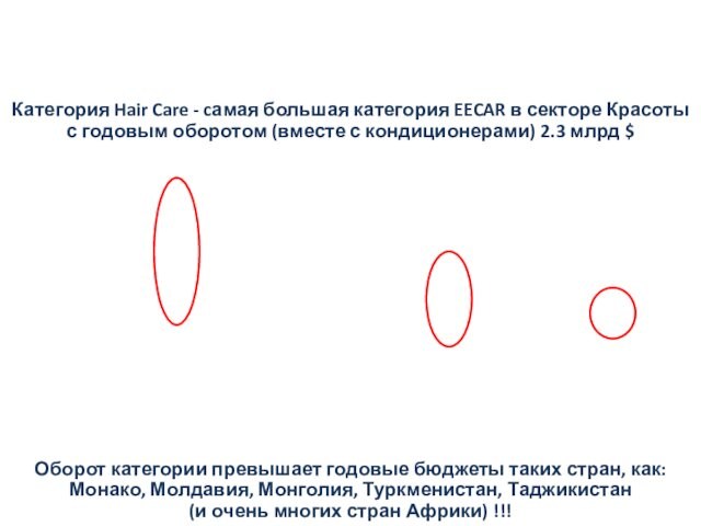 Размер категории Hair Care EECAR Категория Hair Care - cамая большая категория EECAR в секторе