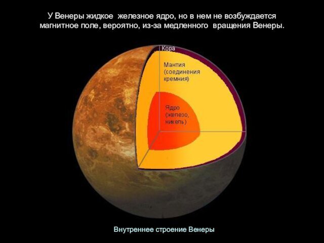 У Венеры жидкое  железное ядро, но в нем не возбуждается  магнитное поле, вероятно, из-за медленного  вращения Венеры.Внутреннее строение Венеры