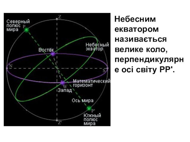 Небесним екватором називається велике коло, перпендикулярне осі світу PP'.
