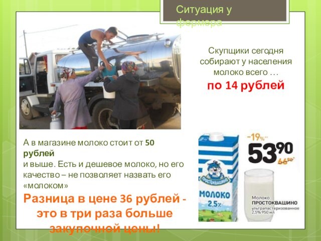 Скупщики сегодня собирают у населениямолоко всего … по 14 рублейА в магазине молоко стоит от