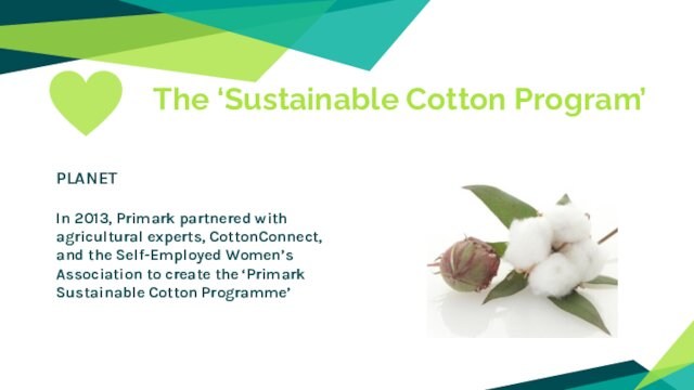  The ‘Sustainable Cotton Program’ PLANETIn 2013, Primark partnered with agricultural experts, CottonConnect, and the Self-Employed
