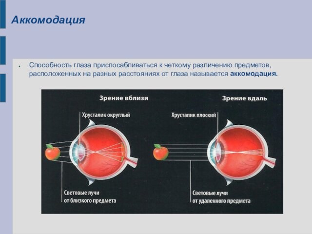 Аккомодация Способность глаза приспосабливаться к четкому различению предметов,расположенных на разных расстояниях от глаза называется аккомодация.