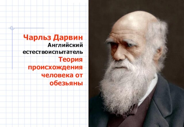 Чарльз Дарвин Английский естествоиспытатель Теория происхождения человека от обезьяны