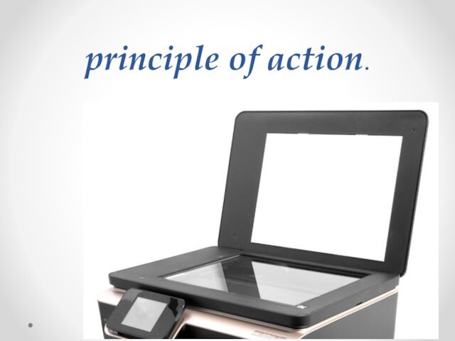 principle of action.