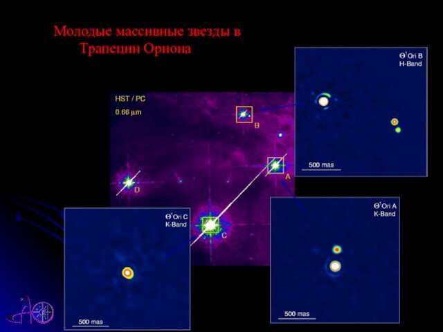 Молодые массивные звезды в    Трапеции Ориона