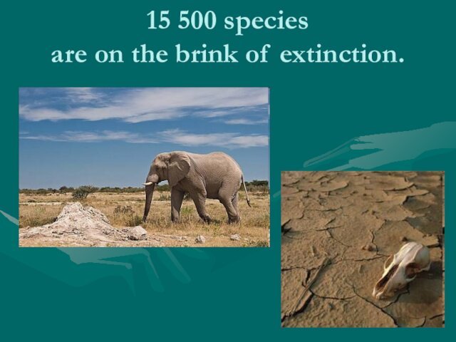 15 500 species  are on the brink of extinction.