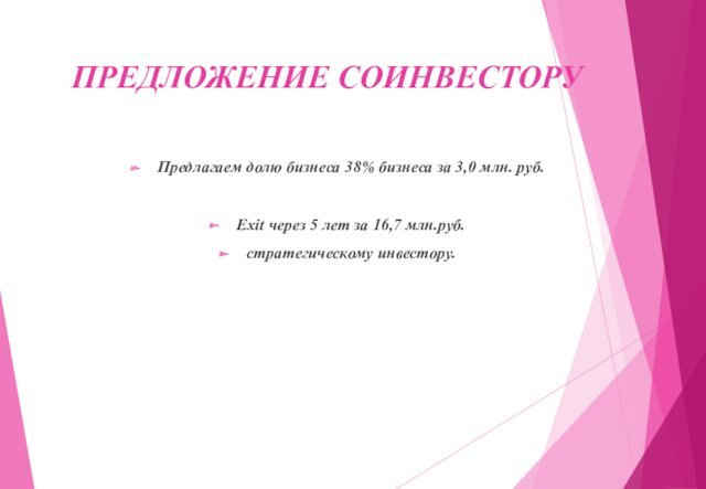 лет за 16,7 млн.руб.стратегическому инвестору.