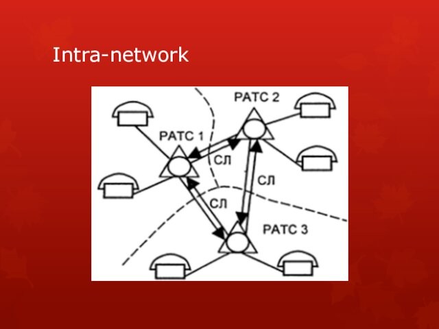 Intra-network