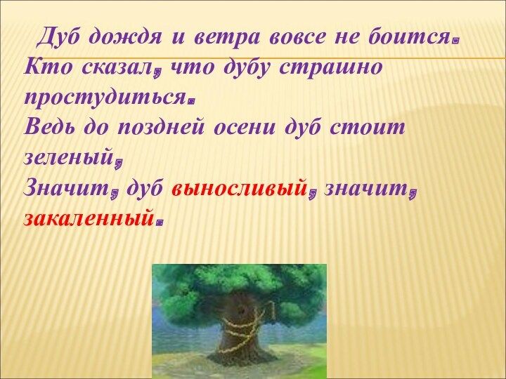 Дуб дождя и ветра вовсе не боится.
 Кто сказал, что дубу страшно простудиться.
 Ведь