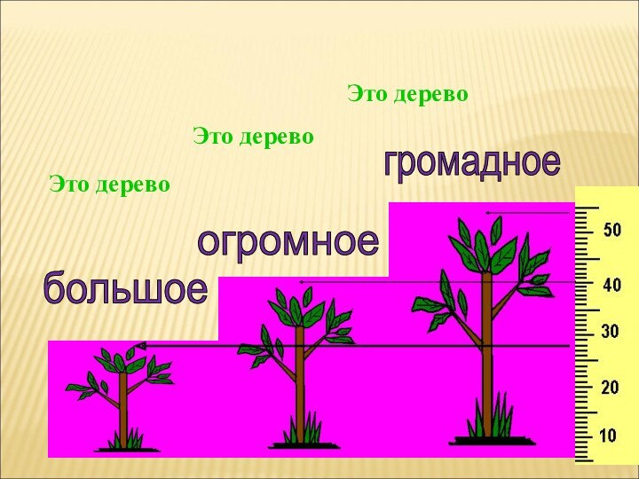 Это деревобольшое огромное громадное Это деревоЭто дерево