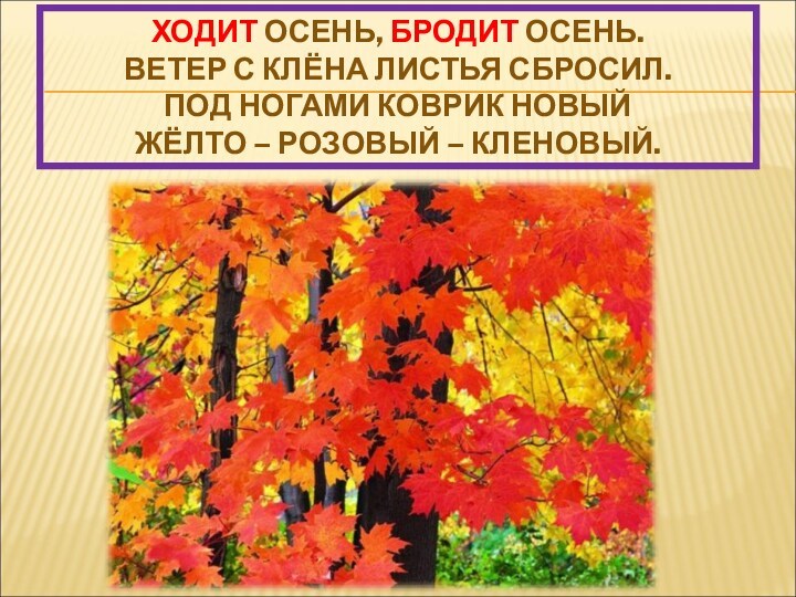 ХОДИТ ОСЕНЬ, БРОДИТ ОСЕНЬ.
 ВЕТЕР С КЛЁНА ЛИСТЬЯ СБРОСИЛ.
 ПОД НОГАМИ КОВРИК НОВЫЙ
 ЖЁЛТО –