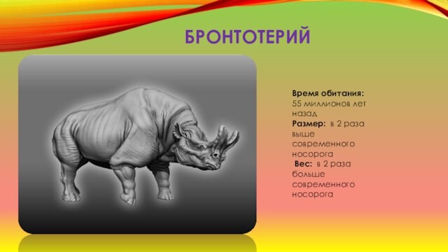 БРОНТОТЕРИЙ Время обитания: 55 миллионов лет назад  Размер: в 2 раза выше современного носорога