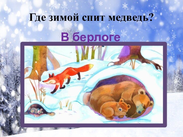 Где зимой спит медведь?В берлоге