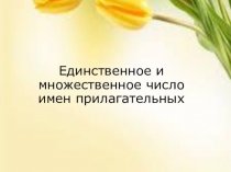 Русский язык 15.04