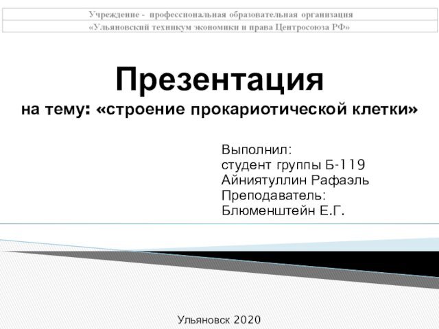 Рафаэль Преподаватель: Блюменштейн Е.Г. Ульяновск 2020