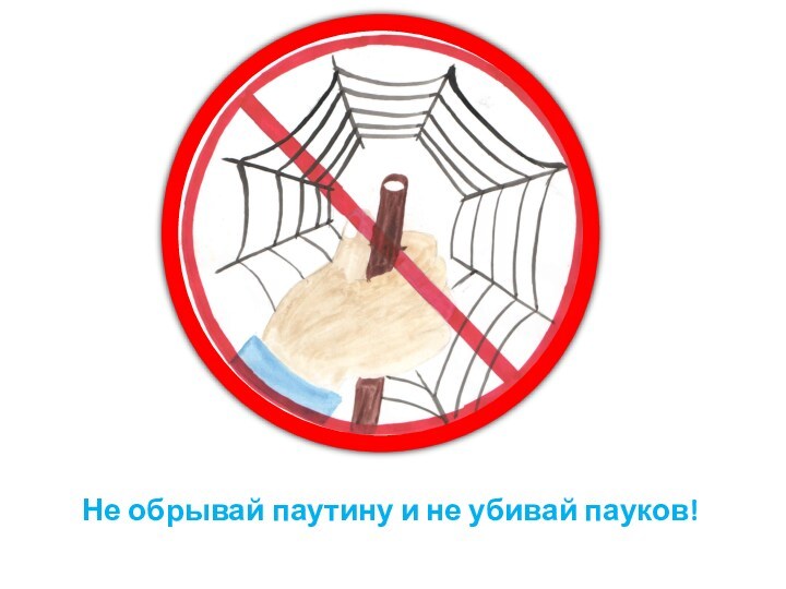 Не обрывай паутину и не убивай пауков!