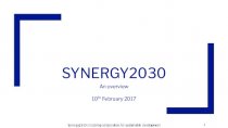Synergy2030