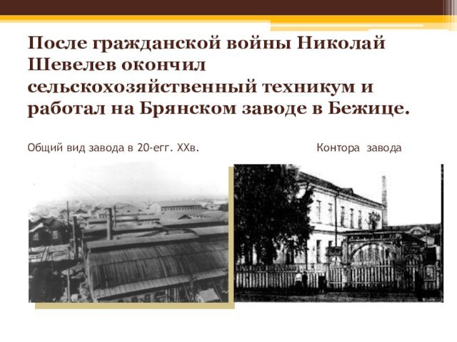 После гражданской войны Николай Шевелев окончил сельскохозяйственный техникум и работал на Брянском