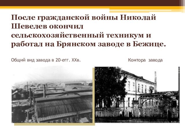 После гражданской войны Николай Шевелев окончил сельскохозяйственный техникум и работал на Брянском заводе в Бежице.