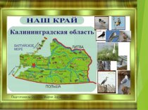 Природа Калининградской области