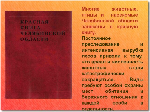 Многие животные, птицы и насекомые Челябинской области занесены в красную книгу.Постоянное преследование