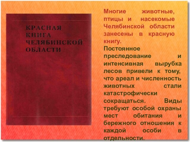 Многие животные, птицы и насекомые Челябинской области занесены в красную книгу. Постоянное преследование и интенсивная