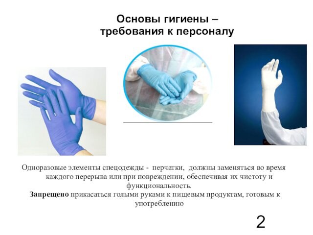 Основы гигиены – требования к персоналуОдноразовые элементы спецодежды - перчатки, должны заменяться во время каждого