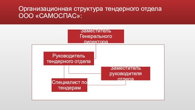 Организационная структура тендерного отдела ООО «САМОСПАС»: