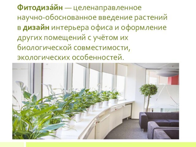 Фитодиза́йн — целенаправленное научно-обоснованное введение растений в дизайн интерьера офиса и оформление других помещений с