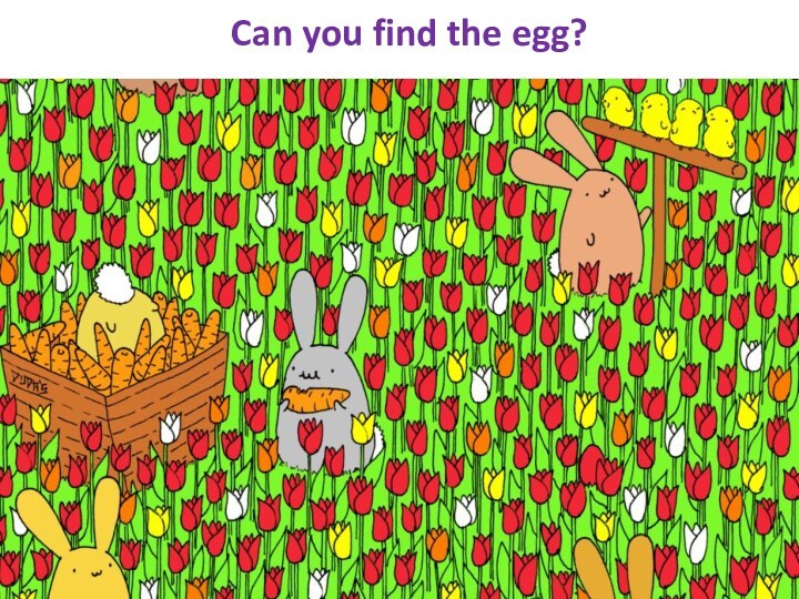 Can you find the egg?