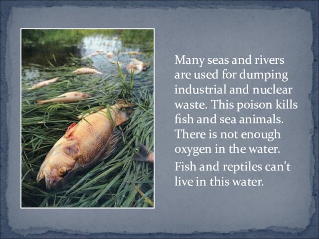 Many seas and rivers are used for dumping industrial and nuclear waste. This poison