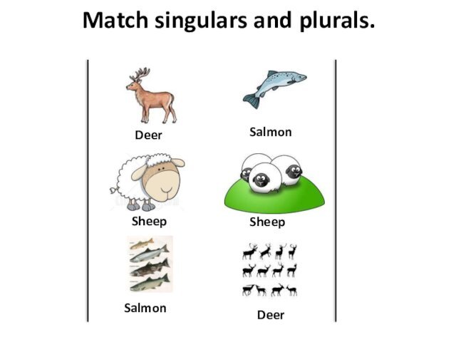Match singulars and plurals.SheepDeerSalmonSheepDeerSalmon