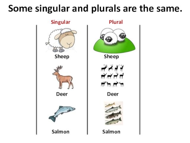 Some singular and plurals are the same.SheepDeerSalmonSheepDeerSalmonSingularPlural
