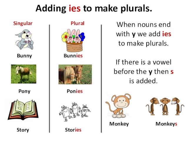 Adding ies to make plurals.BunnyPonyStoryBunniesPoniesStoriesSingularPluralWhen nouns end with y we add ies to make plurals.