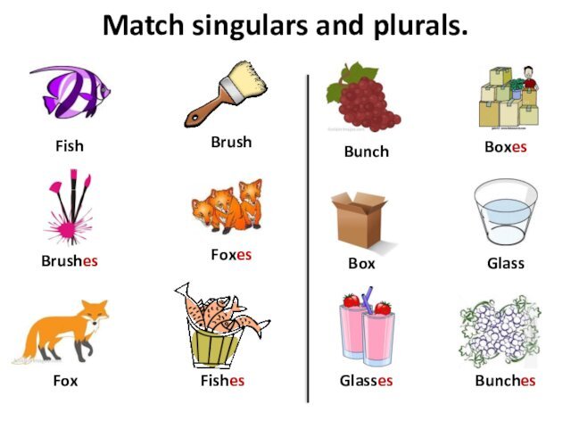 Match singulars and plurals.BoxBrushFishBoxesBrushesFishesFoxesFoxBunchBunchesGlassesGlass