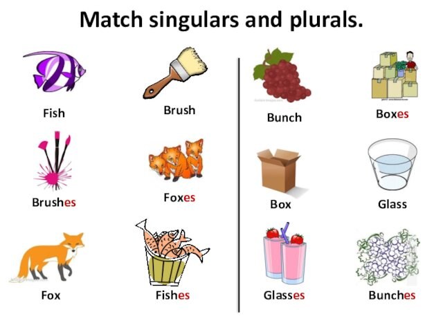 Match singulars and plurals. Box Brush Fish Boxes Brushes Fishes Foxes Fox Bunch Bunches Glasses